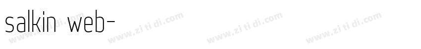 salkin web字体转换